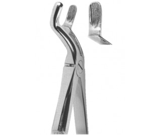 Extracting Forceps English pattern